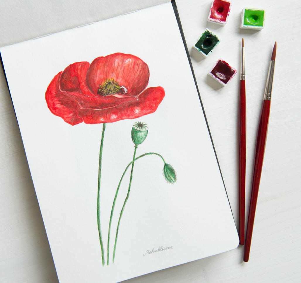 botanische malerei mit wasserfarben