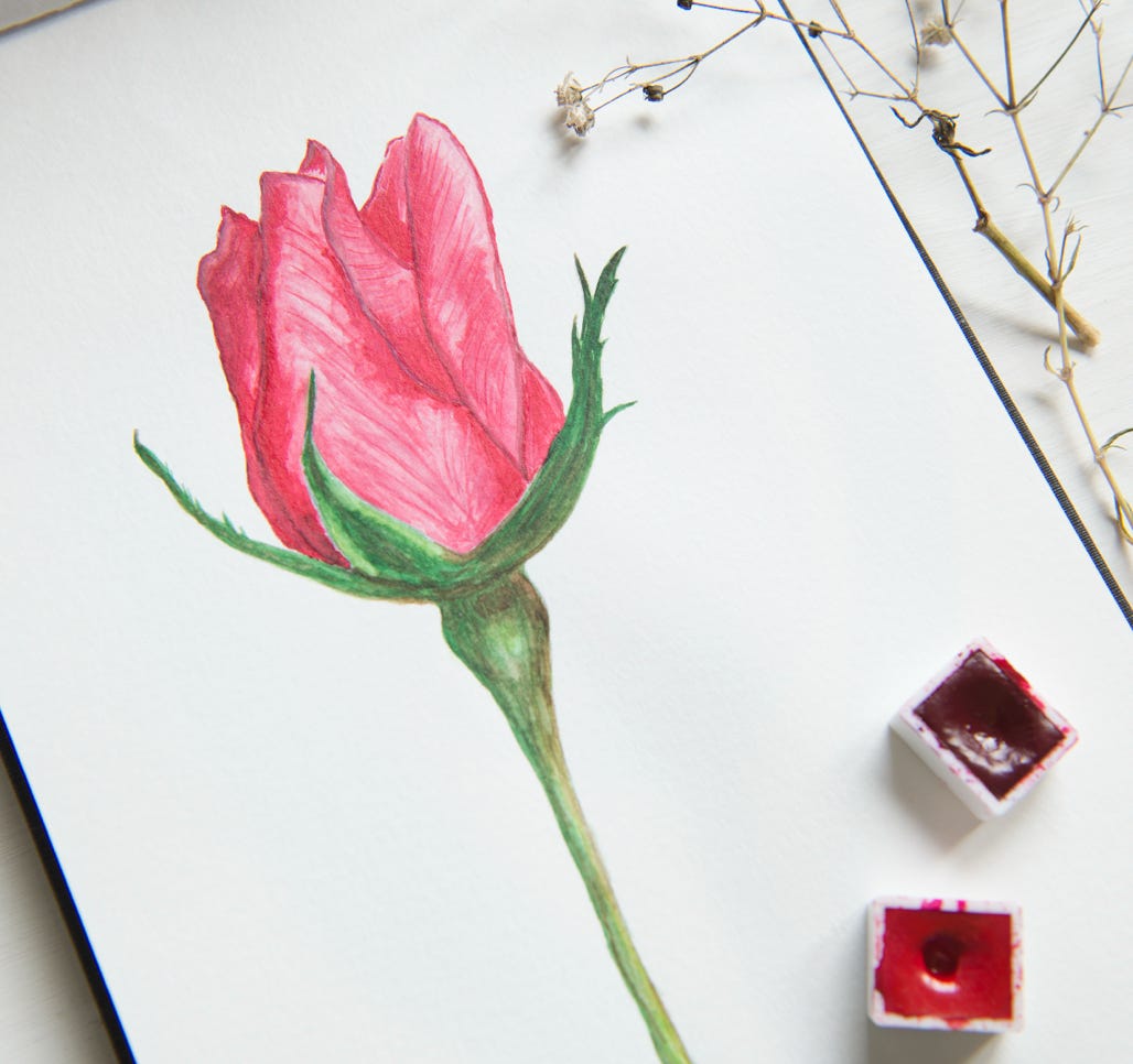 blumen malerei mit aquarell